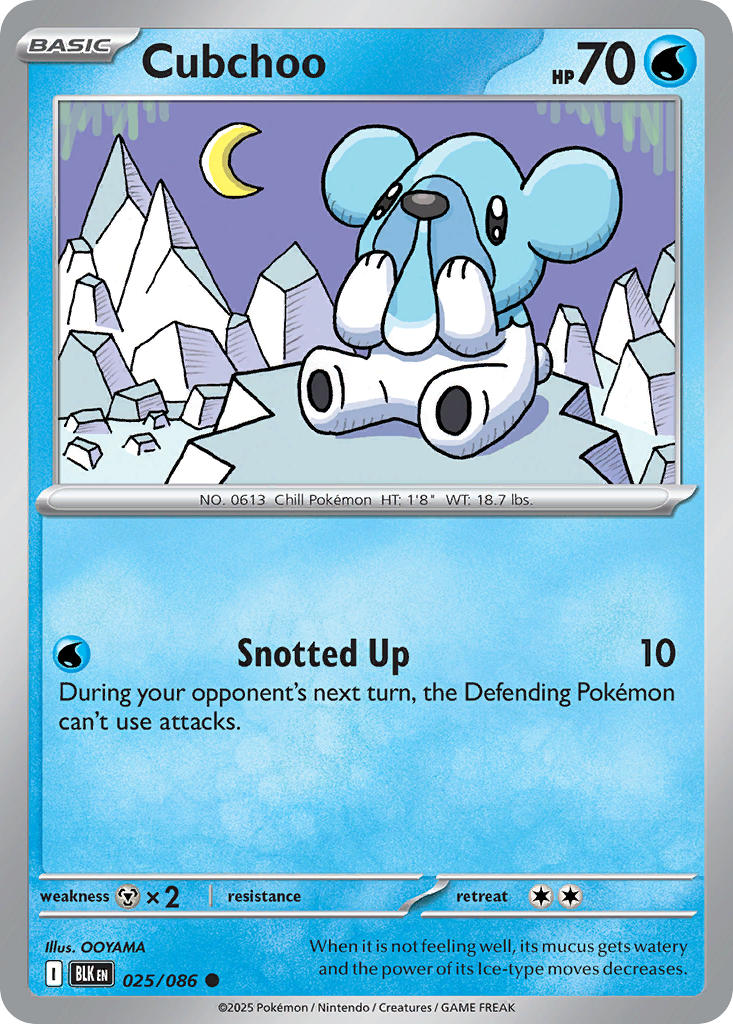 Cubchoo 025/086 Common Black Bolt Pokémon card