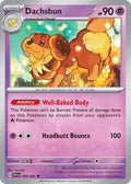 Dachsbun 039/091 Uncommon Paldean Fates Pokémon card