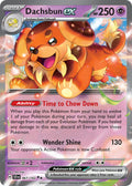 Dachsbun EX 067/142 Double Rare Stellar Crown Pokémon card