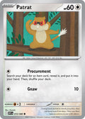 Patrat 072/086 Common White Flare Pokémon card