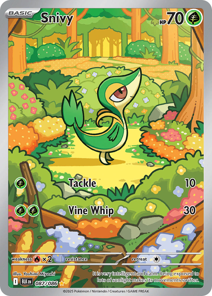Snivy 087/086 Illustration Rare Black Bolt Pokémon card