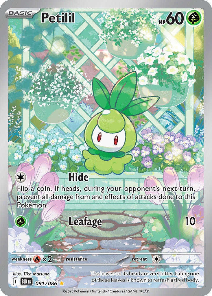 Petilil 091/086 Illustration Rare Black Bolt Pokémon card