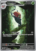 Accelgor 094/086 Illustration Rare White Flare Pokémon card