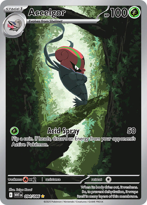 Accelgor 094/086 Illustration Rare White Flare Pokémon card