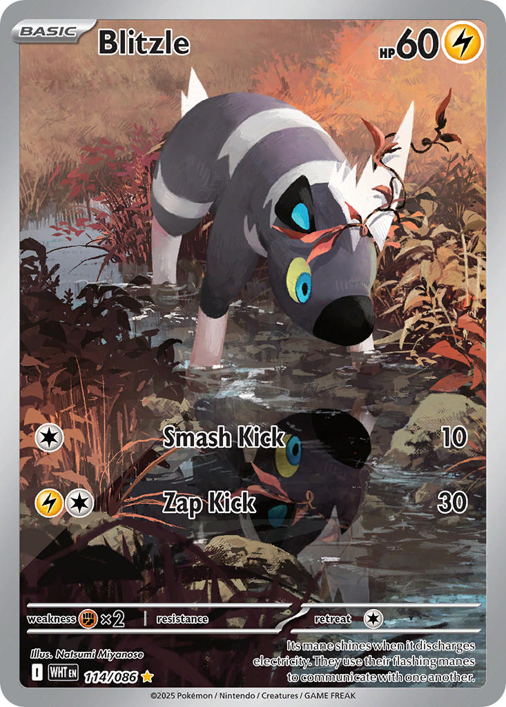 Blitzle 114/086 Illustration Rare White Flare Pokémon card