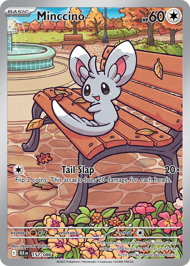 Minccino 152/086 Illustration Rare Black Bolt Pokémon card