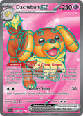Dachsbun EX 160/142 Ultra Rare Stellar Crown Pokémon card