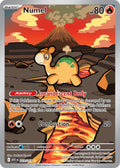 Numel 223/217 Illustration Rare Ascended Heroes Pokémon card
