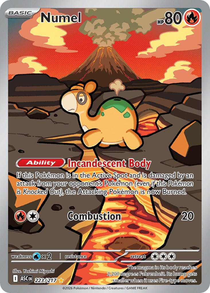 Numel 223/217 Illustration Rare Ascended Heroes Pokémon card