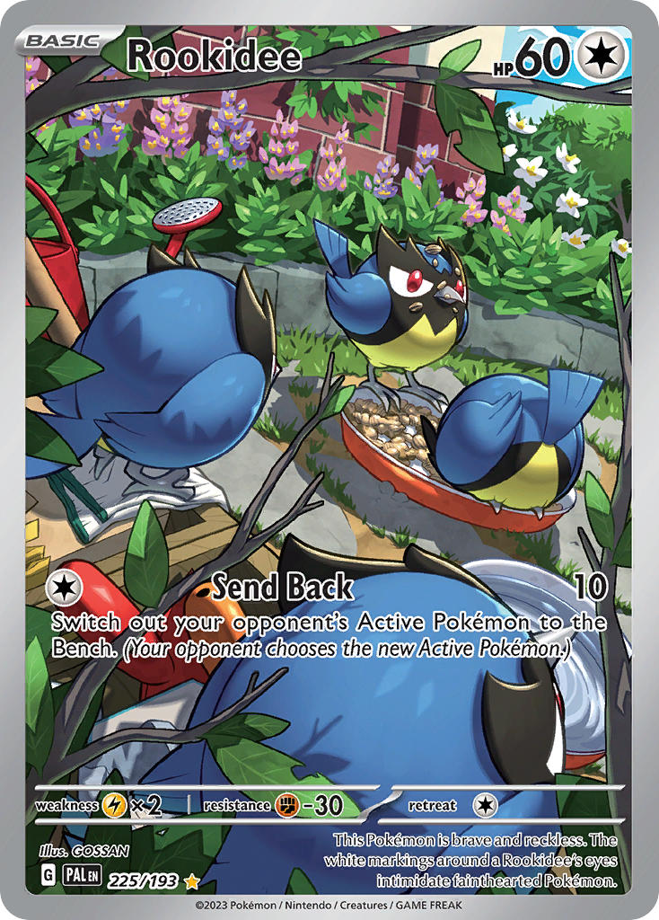 Rookidee 225/193 Illustration Rare Paldea Evolved Pokémon card